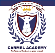 Carmel Academy ICSE School - JP Nagar