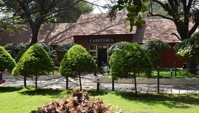 Cathedral School - Ashok Nagar