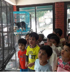 Esperanza Preschool - JP Nagar