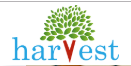 Harvest International School - Sarjapur