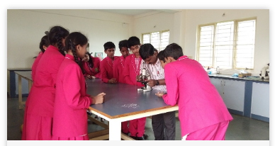 Harward International School - Dasanapura
