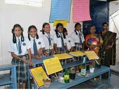 Holy Cross School - JP Nagar