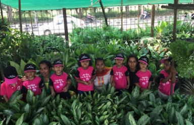 Little Elly Preschool - Maruthi Sevanagar