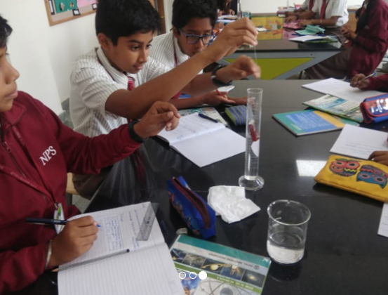 National Public School - Whitefield - Whitefield