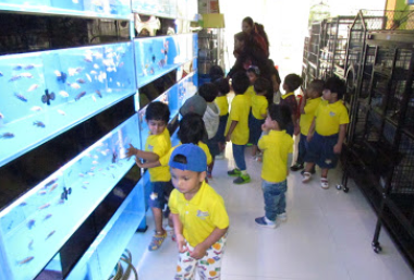 Podar Jumbo Kids Plus - Sarjapur Main Rd
