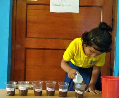 Poddar Jumbo Kids - RR Nagar
