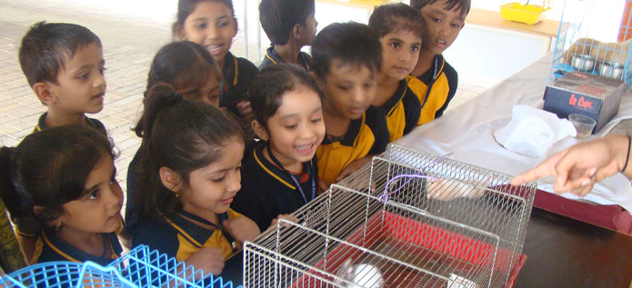 The Brigade School - JP Nagar