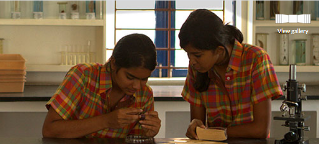 Abacus Montessori School - Perungudi