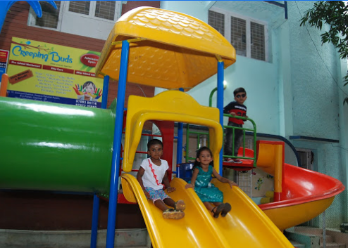 Creeping Buds Pre School - Adyar