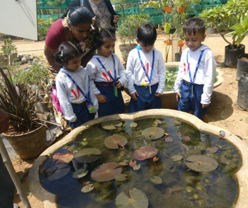 Euro Kids - Valasaravakkam