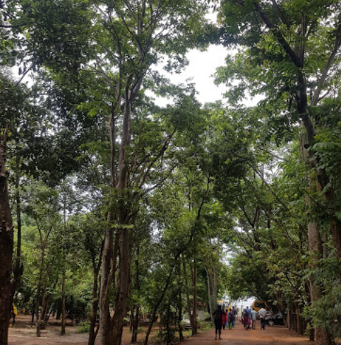 Good Earth School - Naduvirappattu