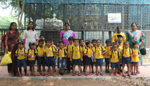 Kidzee - Valasaravakkam