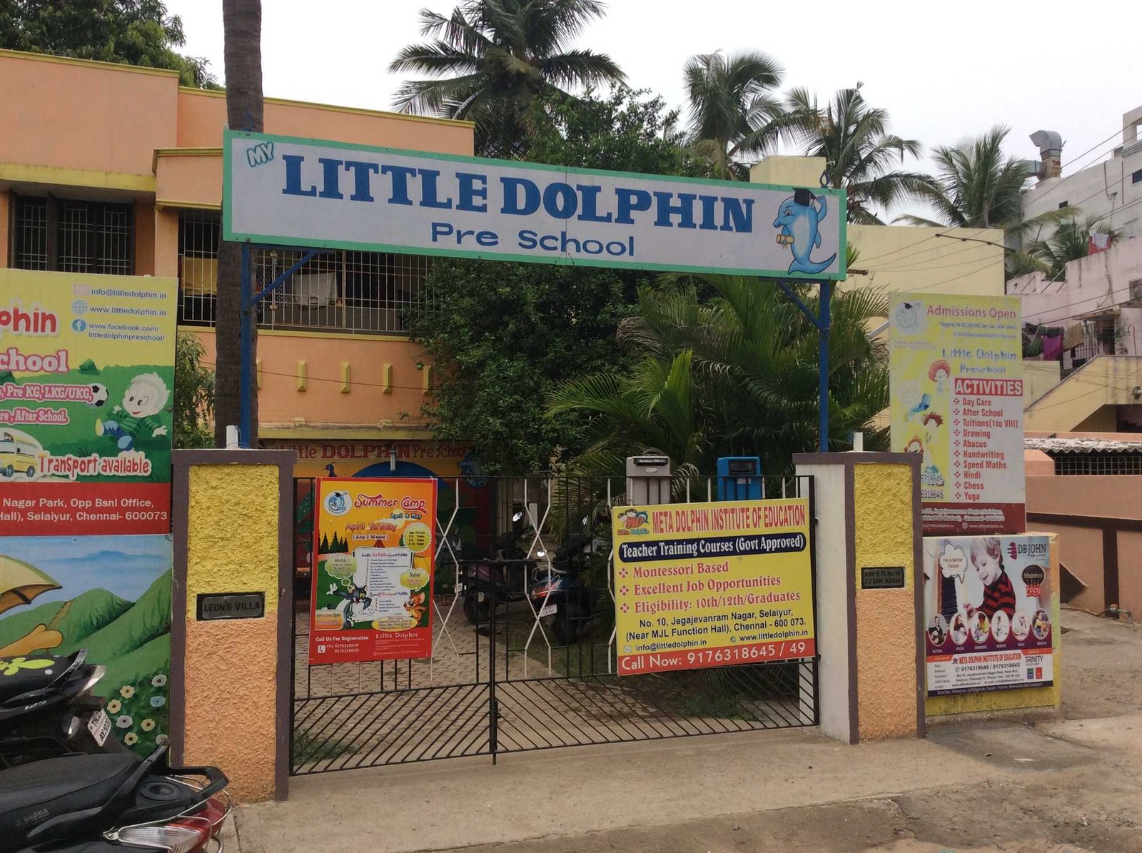 My Little Dolphin - Selaiyur
