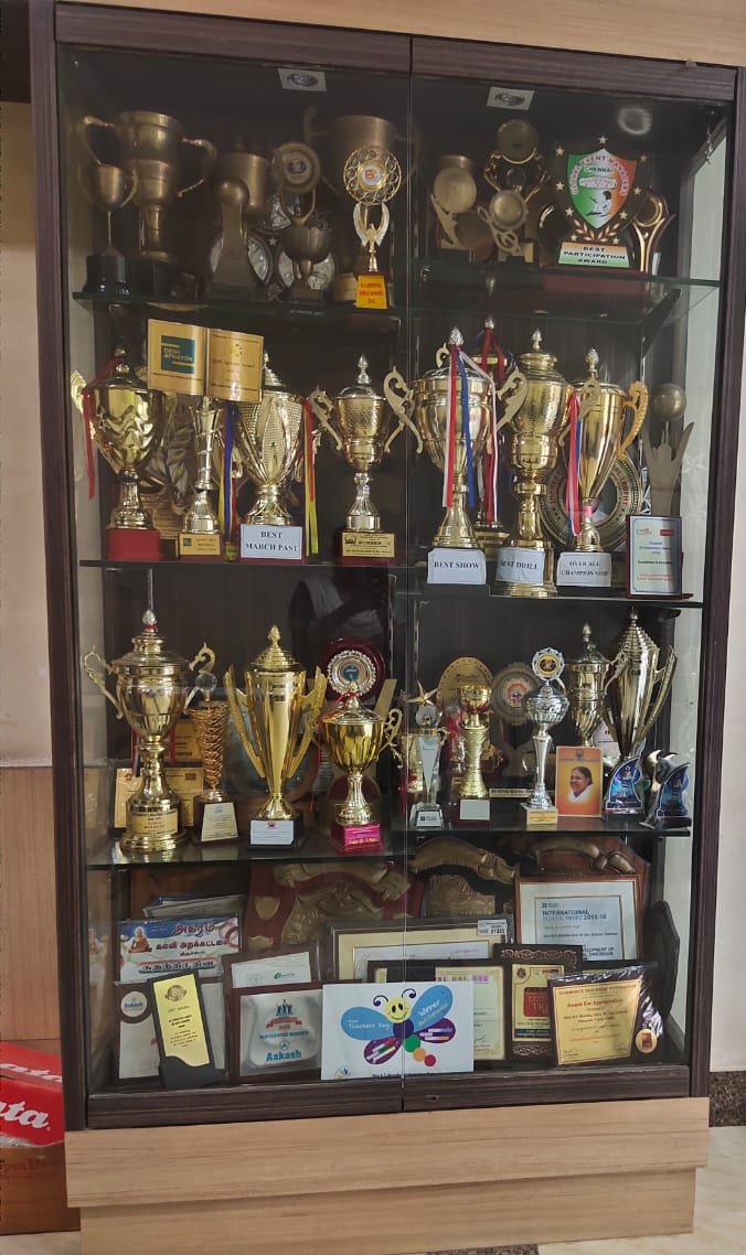 Shri B.S.Mootha Girls Senior Secondary School - West Mambalam