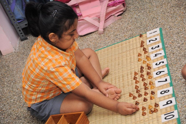 Vruksha Montessori School - Abiramapuram
