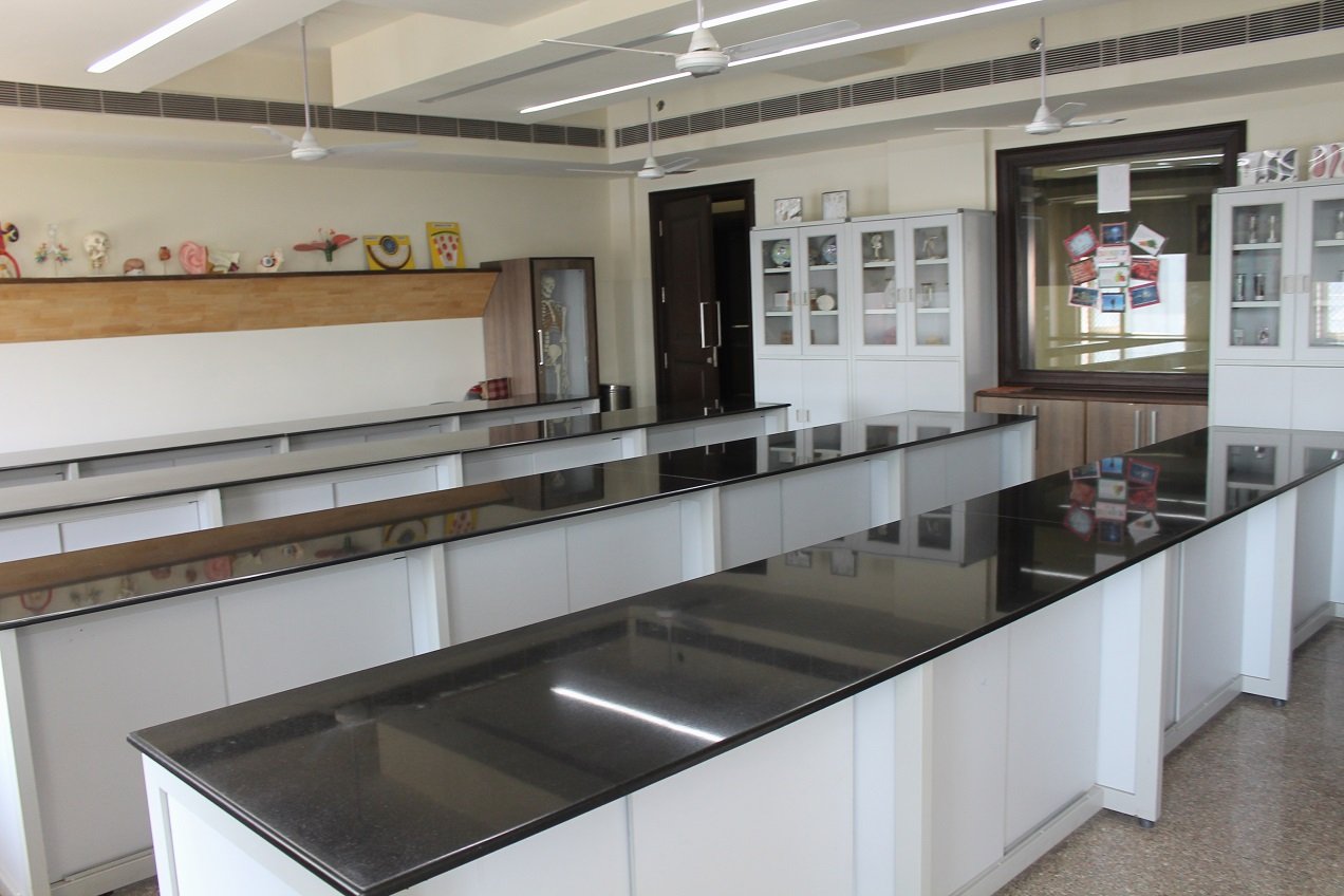 Ambience Public School - Safdarjung Enclave