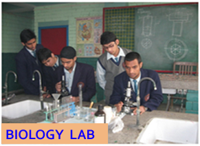 Banasthali Public School - Vikaspuri