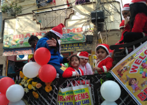 Brainy Gems - Beri Wala Bagh