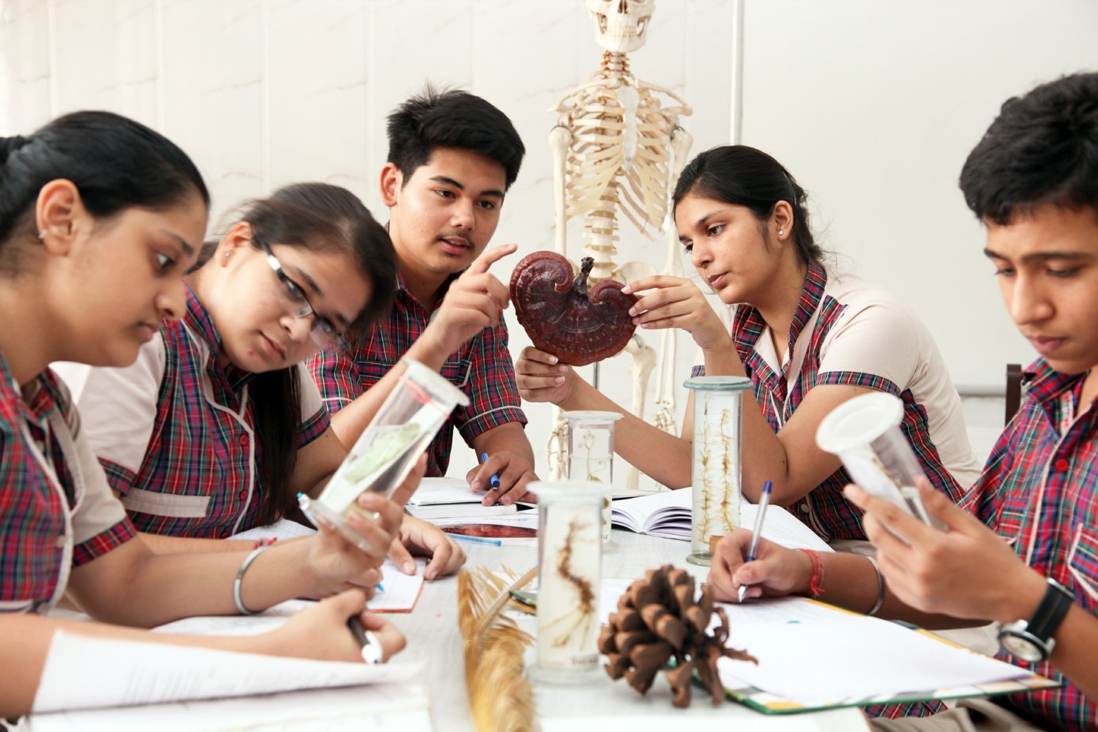 DAV Public School - Vasant Kunj