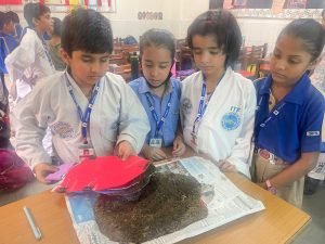 DELHI INTERNATIONAL PUBLIC SCHOOL - Sector 9,Rohini