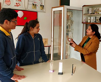 Delhi International School - Dwarka