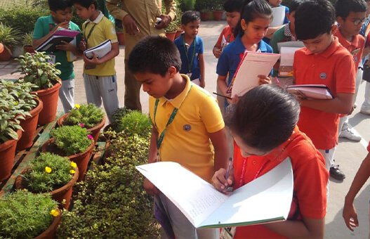 Delhi International School - Dwarka