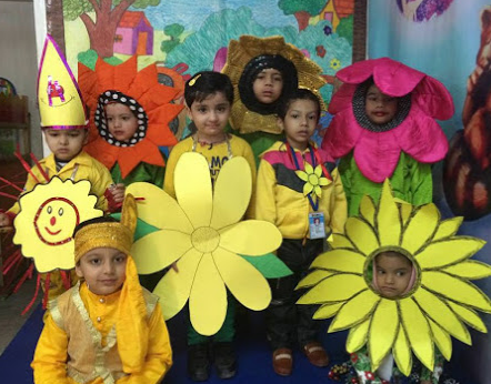 dolphin kinder care - Beri Wala Bagh
