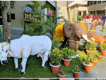 Hansraj Model School - Punjabi Bagh