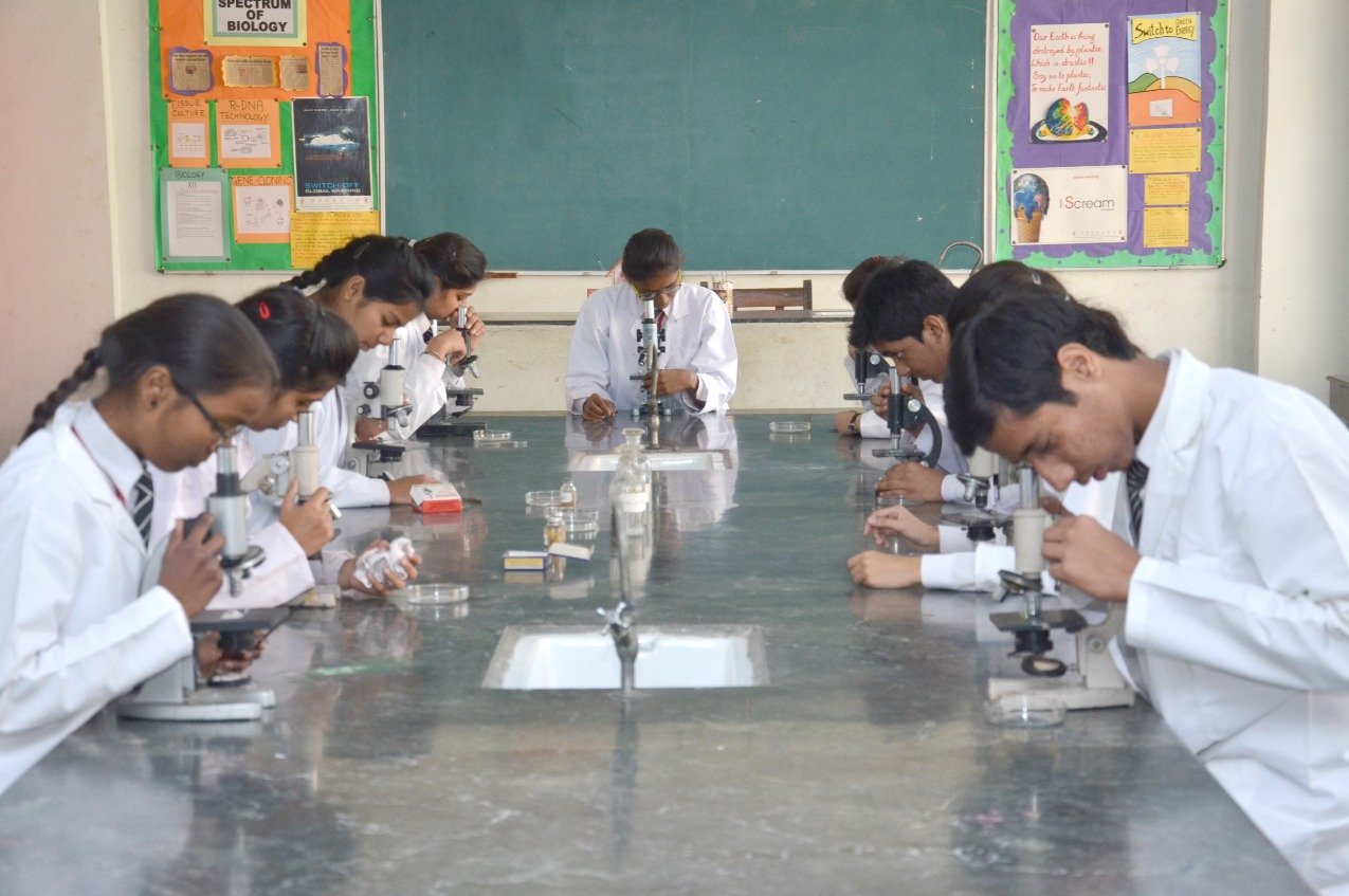 MM Public School Vasudha Enclave - Shalimar Bagh