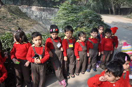 Shemrock Flowers - Block D,Defence Colony