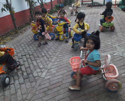 Shemrock Jingles - Sarita Vihar