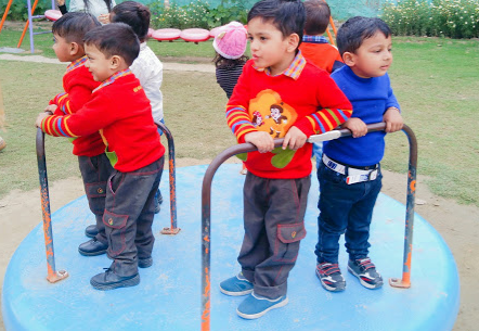 Shemrock Little Pumpkins - Rohini