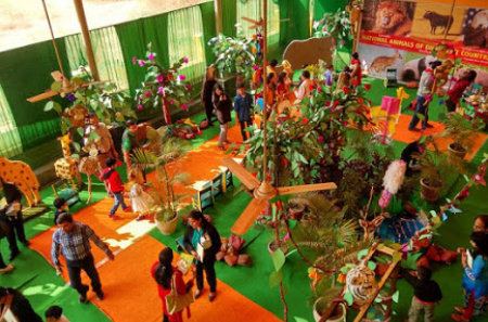Wee Paradise - Mayur Vihar