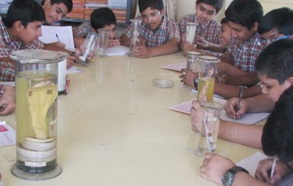 Azra Public School - Asif Nagar