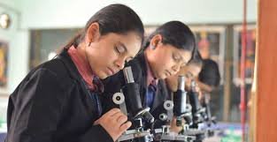 Brilliant Grammar High School - Ameerpet