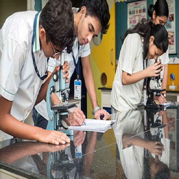 Euro School - HITEC City