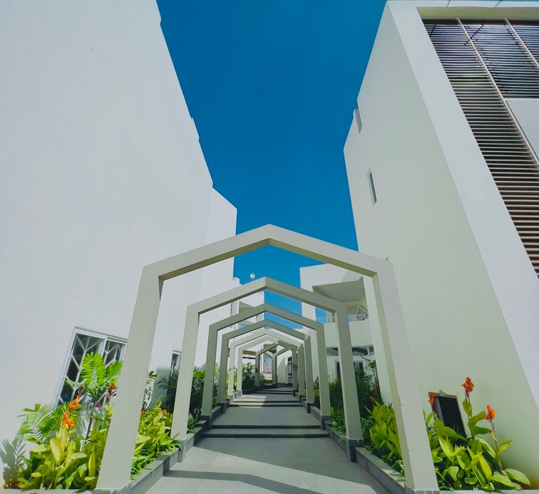 Green Gables International School - Financial District