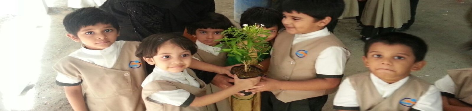 Insight International School - Royal Colony,Humayun Nagar