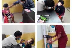 Insignis Transnational School - Chanda Nagar