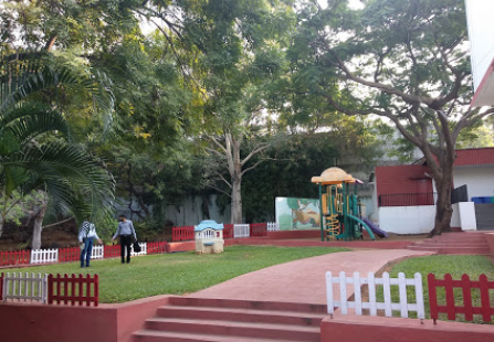 Kangaroo Kids - Banjara Hills