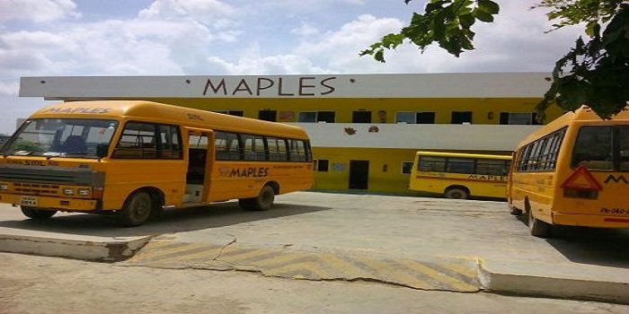 Maples - Nizampet