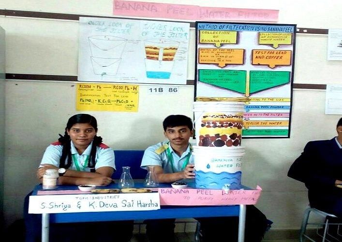 Sister Nivedita School - Ameerpet