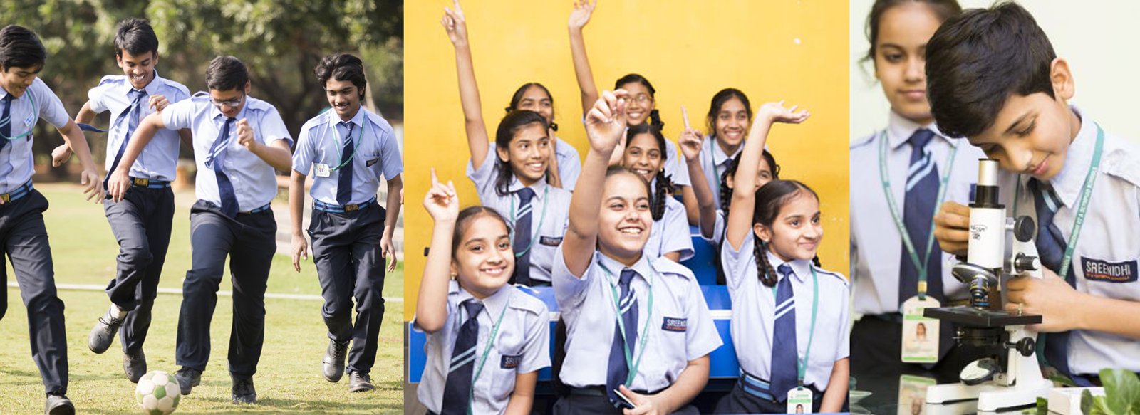 Sreenidhi Viswabharati School - Madhura Nagar