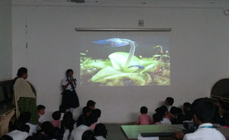 SVIS Sree Vidyanikethan International School - Pocharam