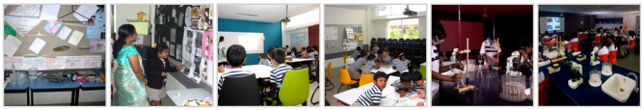 The Indian Public School(TIPS)-L & T Serene - Himayath Sagar