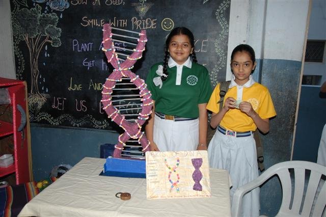 The Mother's Integral School - Adikmet