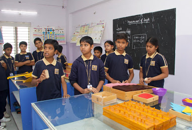 Trident International School - Langar Houz