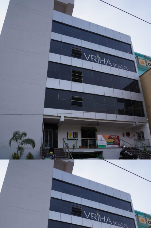 Vriha School - Chanda Nagar