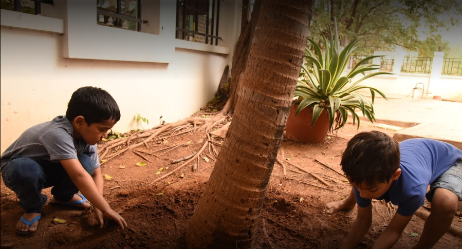 Walden's Path - Jubilee Hills