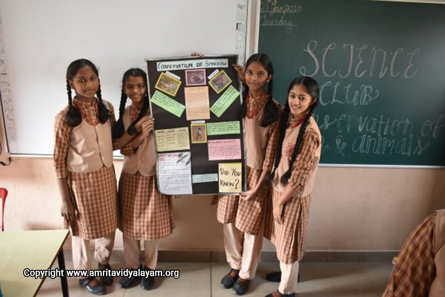 Amrita Vidyalayam, Navi Mumbai - Juinagar